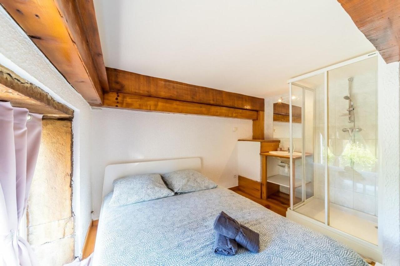 The Charming Fleury 2 Bedrooms Oullins Eksteriør bilde